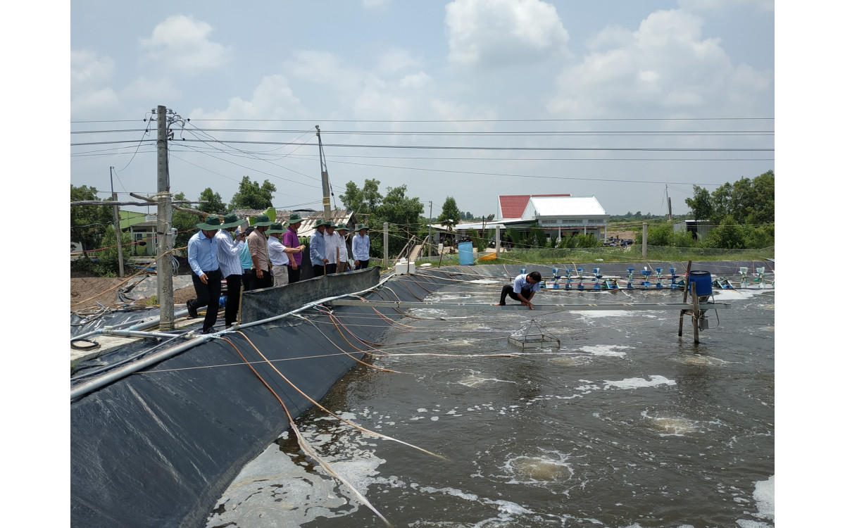 C&acirc;̀n chủ đ&ocirc;̣ng các bi&ecirc;̣n ph&aacute;p ph&ograve;ng, chống hạn h&aacute;n, x&acirc;m nhập mặn trong vụ nu&ocirc;i t&ocirc;m năm 2021